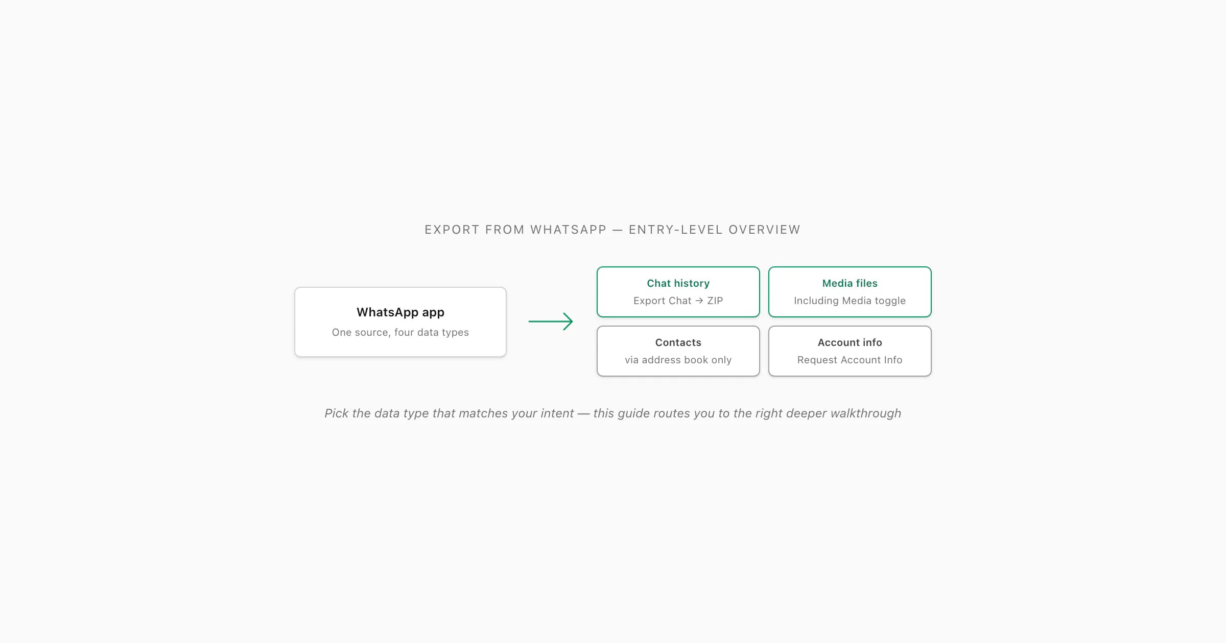 WhatsApp app at the centre with four export paths fanning out — chat history, media files, contacts, account info