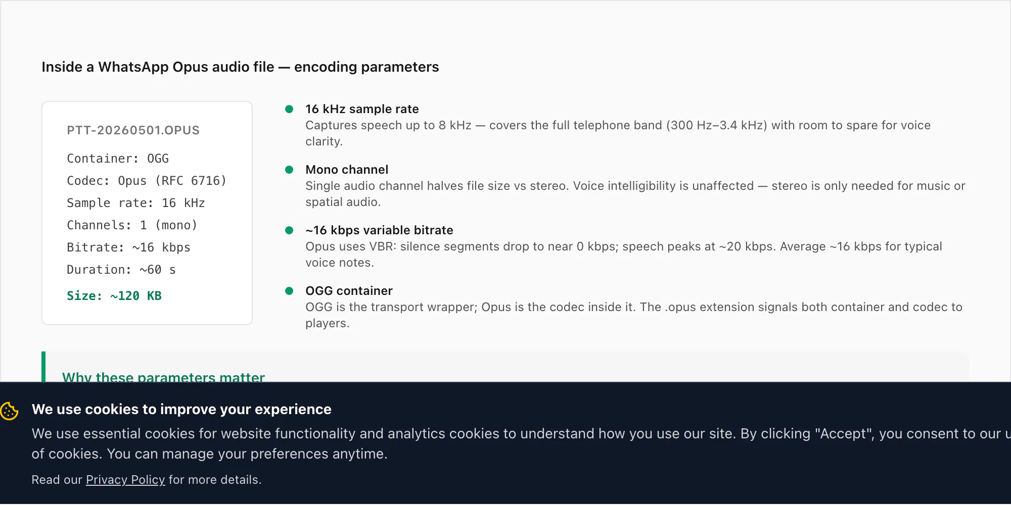 Anatomy of a WhatsApp opus audio file: OGG container, Opus codec RFC 6716, 16 kHz mono, 16 kbps, ~120 KB per minute