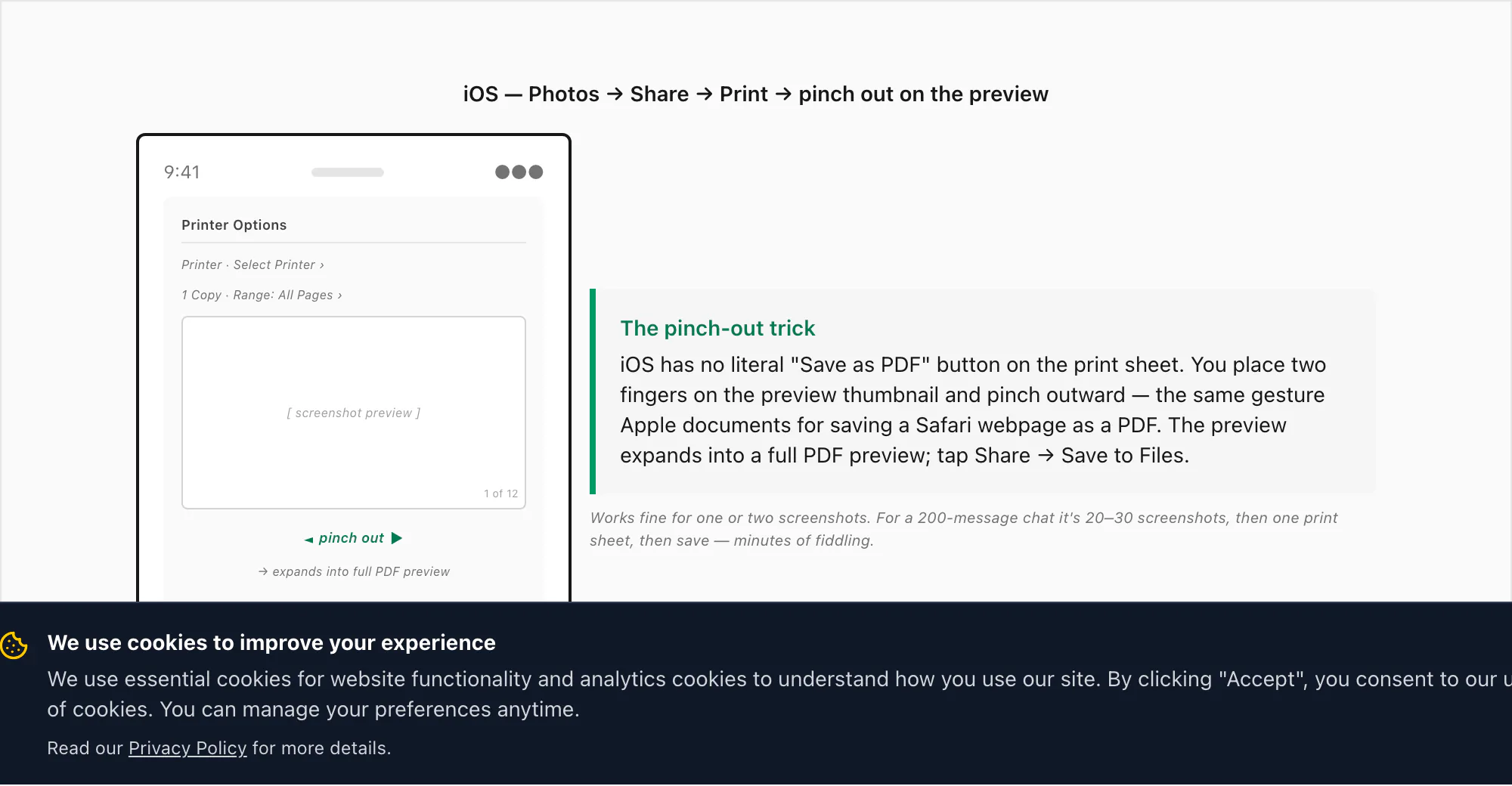 iOS Share to Print flow: tap Share, tap Print, pinch out on the page preview to expand into a PDF preview, then save